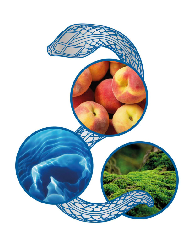 Vibrant Aqua Hair & Body Mist 250ml